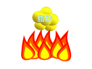 脂肪燃焼 健康 自由が丘
