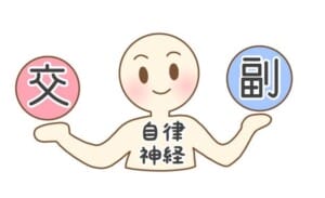 自律神経 整体 目黒区
