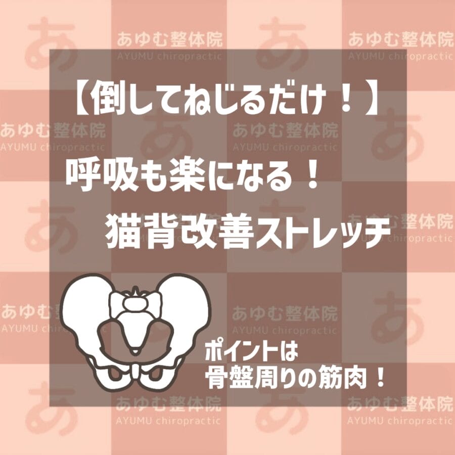 【倒して捻るだけ！】骨盤周りの筋肉を整え、呼吸も楽になる猫背改善ストレッチ