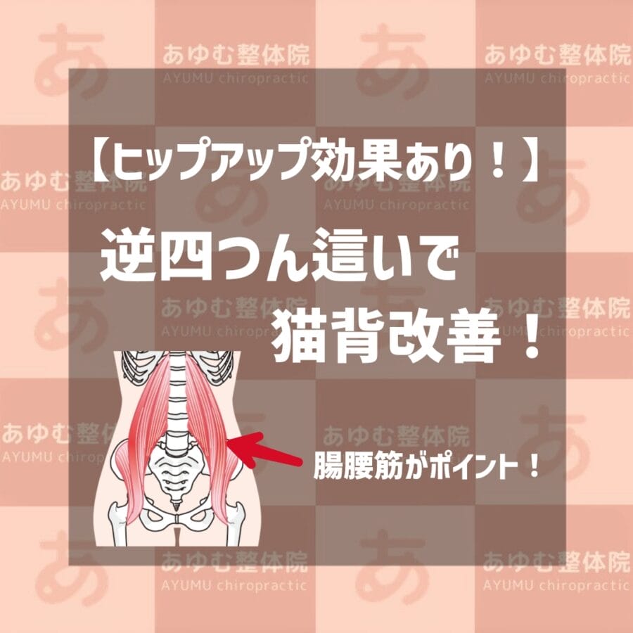 【ヒップアップ効果あり！】逆四つん這いで猫背改善！