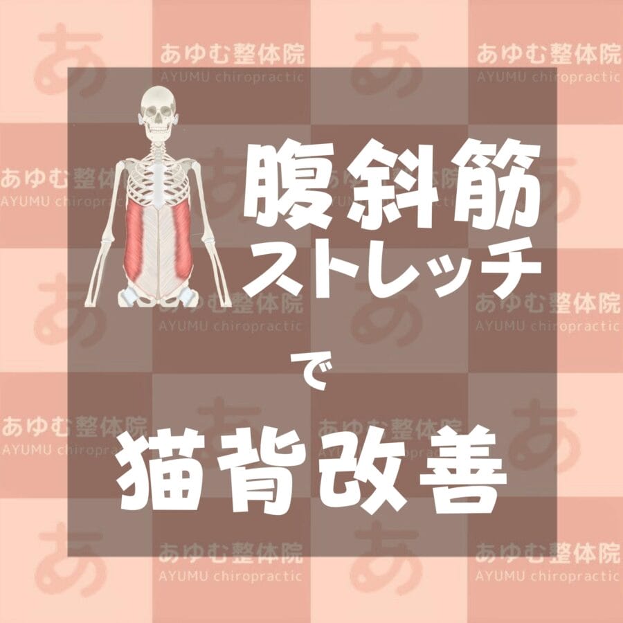 【簡単】腹斜筋ストレッチで猫背改善！