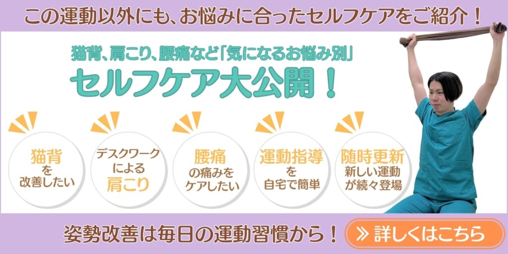 肩こり、腰痛など「気になるお悩み別」セルフケア大全集