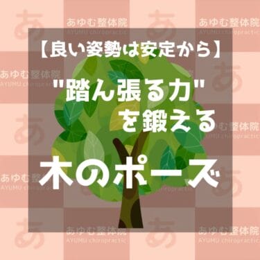 良い姿勢は安定から！大地を踏みしめる木のポーズ