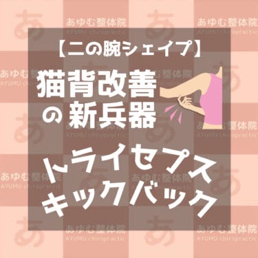 【二の腕シェイプ】猫背の新兵器!トライセプスキックバック!