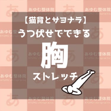 【寝る前OK!】うつ伏せで猫背改善！胸のストレッチ！