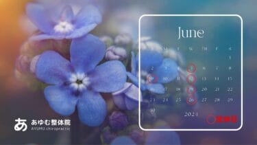 ２０２４年６月 定休日のご案内