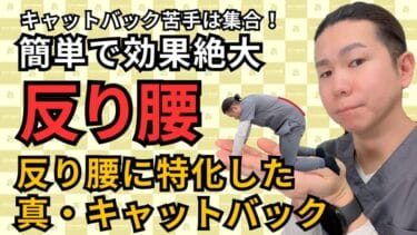 普通のキャットバックじゃ治らない！反り腰を根本から改善する究極メソッド｜自由が丘あゆむ整体院