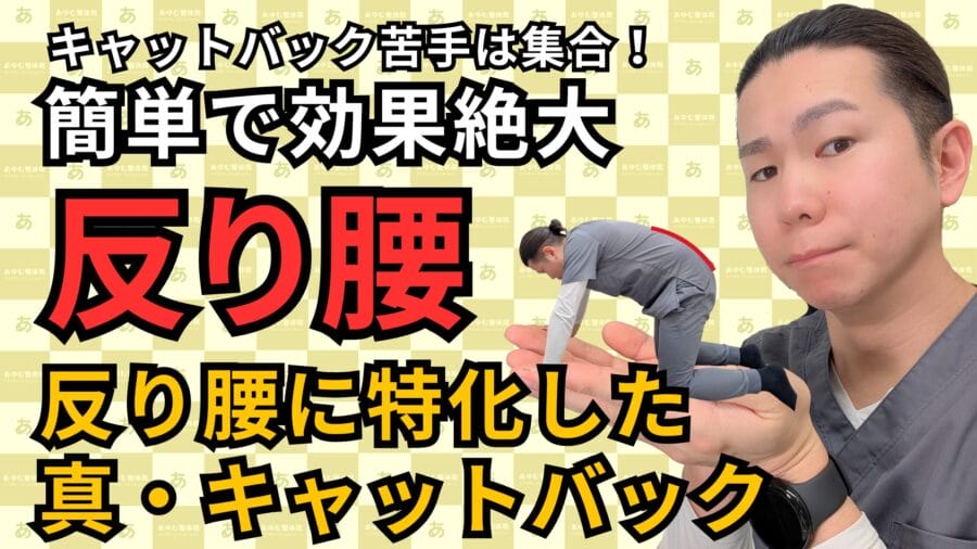 普通のキャットバック」じゃ治らない！反り腰を根本から改善する究極メソッド｜自由が丘あゆむ整体院