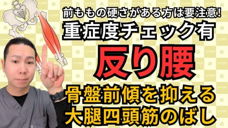 反り腰の根本原因は前ももの硬さ｜整体師が教える簡単チェック＆ストレッチ法｜自由が丘あゆむ整体院