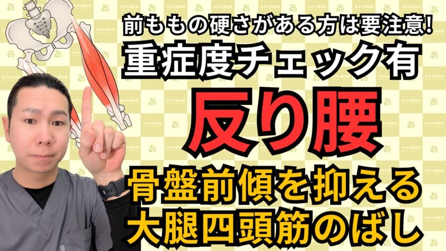 反り腰の根本原因は前ももの硬さ｜整体師が教える簡単チェック＆ストレッチ法｜自由が丘あゆむ整体院