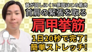首の動きの “引っかかり”を肩甲挙筋ストレッチで改善｜自由が丘あゆむ整体院